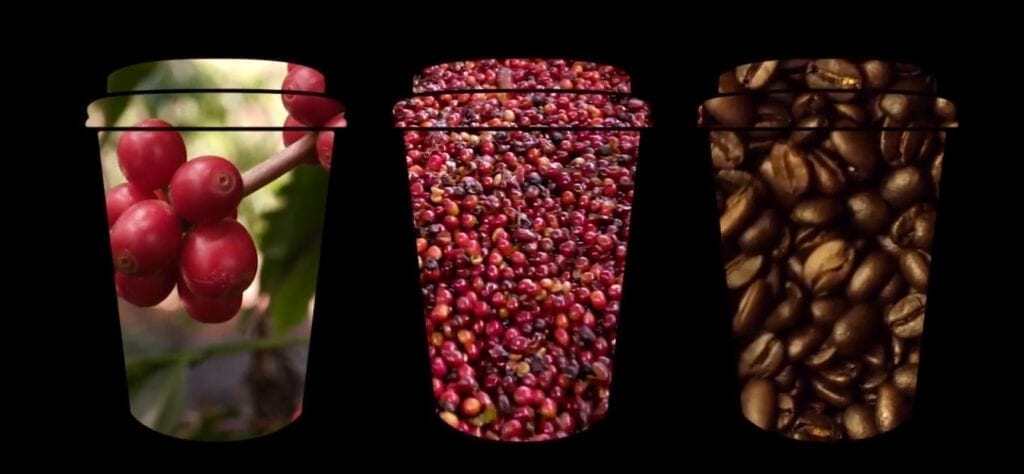 what\'s in your cup ad